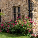 In the garden: nomi di fiori e piante per il tuo giardino “British”