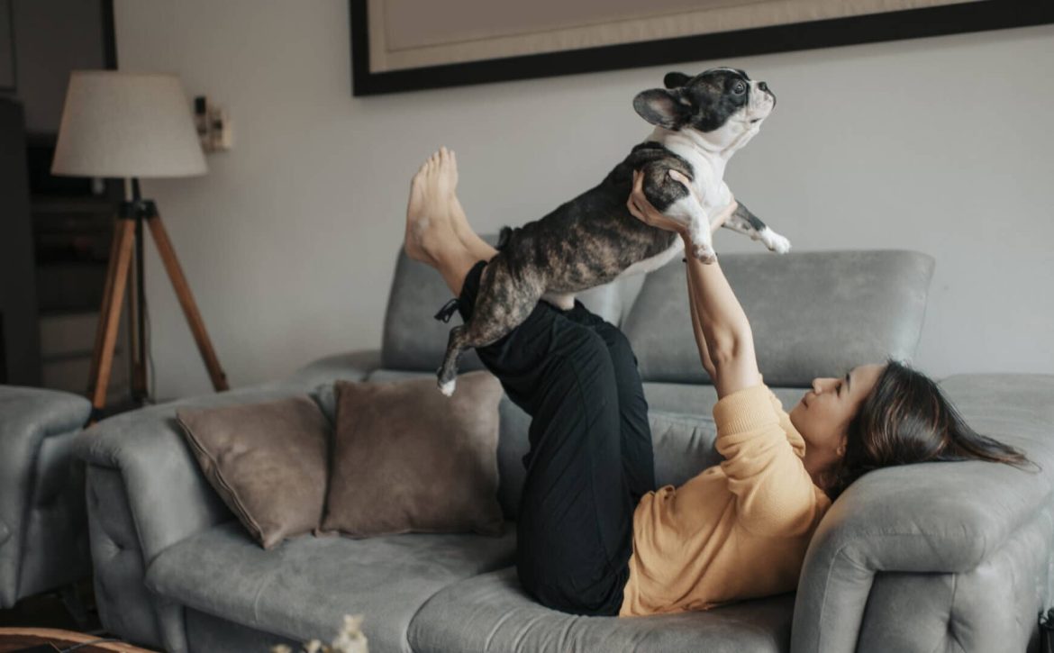 an asian chinese beautiful woman pet owner bonding time with her pet french bulldog on sofa pretend flying