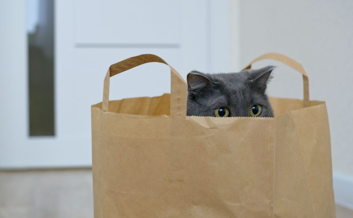 espressioni idiomatiche in inglese