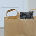 Idioms da scoprire: 7 espressioni idiomatiche in inglese che (forse) non conosci