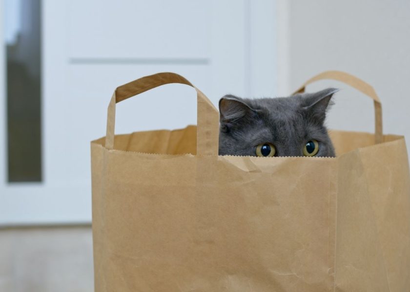 espressioni idiomatiche in inglese